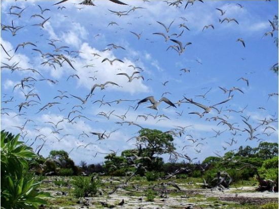 1490839485588545.png QQ圖片20170330095047.png