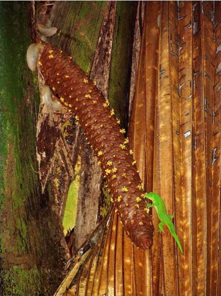 1490839659777713.png QQ圖片20170330095447.png