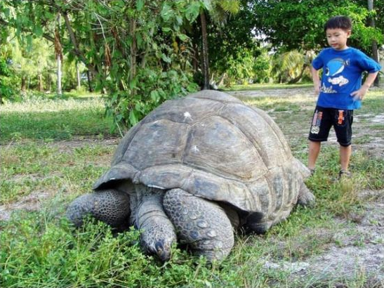 1490839691234049.png QQ圖片20170330095532.png