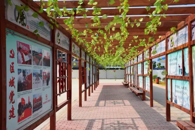 1493086964568019.png QQ圖片20170425093101.png