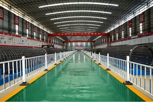 1493087165395376.png QQ圖片20170425093625.png