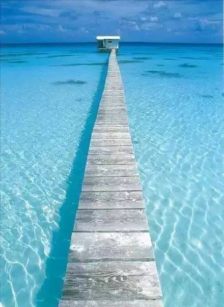 1496911637384144.jpg 643.jpg