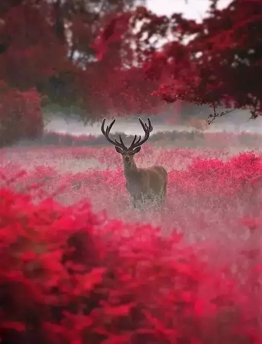 1496911690154010.png 649.png