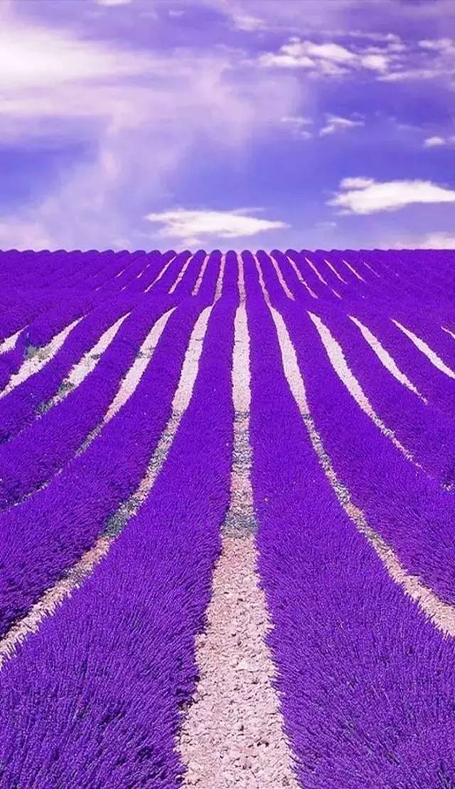 1496911783199237.jpg 659.jpg