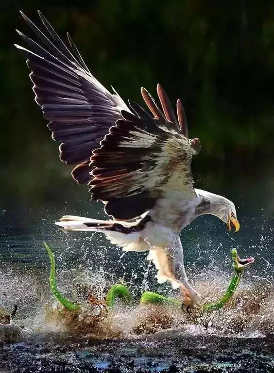 1496911808995798.jpg 661.jpg