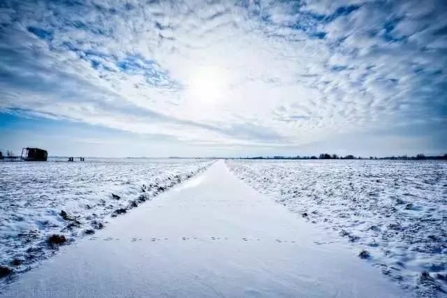 1496911861101103.jpg 667.jpg