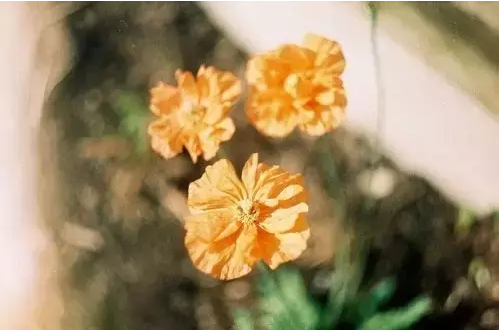 1501814435396408.png QQ圖片20170804103622.png