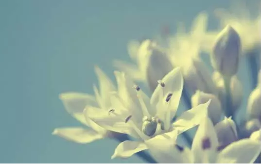 1501814443436471.png QQ圖片20170804103643.png