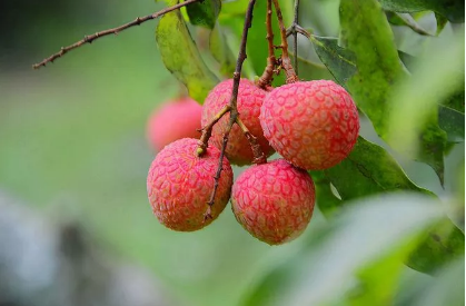 1529898481115368.png QQ圖片20180625110446.png