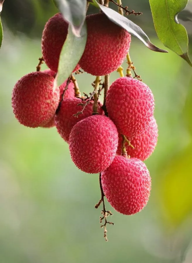 1529898491135438.png QQ圖片20180625110502.png