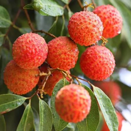 1529898622261633.png QQ圖片20180625110539.png