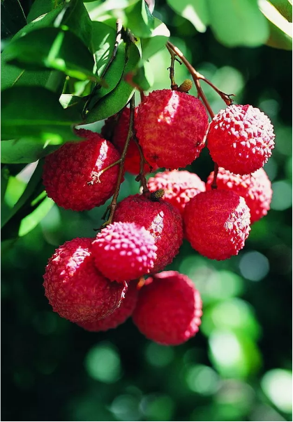 1529898938886971.png QQ圖片20180625112343.png