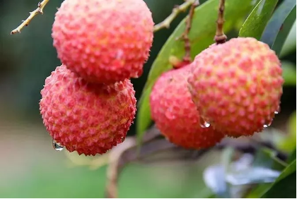 1529898957576841.png QQ圖片20180625112404.png