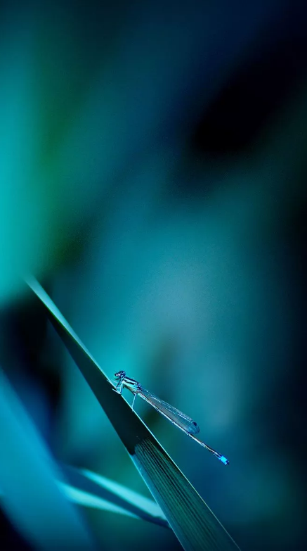 1533609168107661.png QQ圖片20180807100018.png