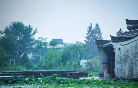 1533609188361768.png QQ圖片20180807100034.png