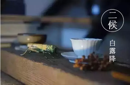 1533609256104201.png QQ圖片20180807100114.png