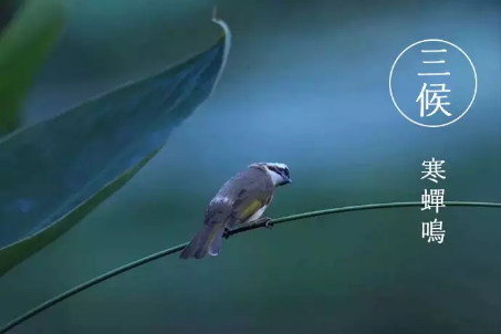 1533609276110905.png QQ圖片20180807100138.png