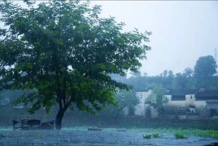 1533609342464312.png QQ圖片20180807100154.png