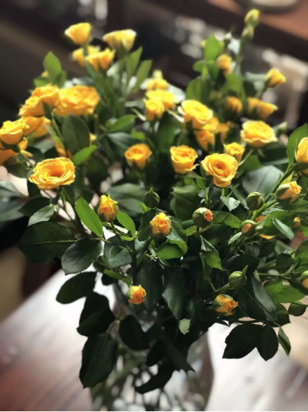 1533609495137034.png QQ圖片20180807100357.png