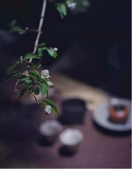 1533609515932283.png QQ圖片20180807100429.png