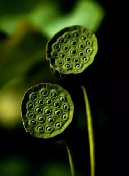 1533609546134263.png QQ圖片20180807100513.png