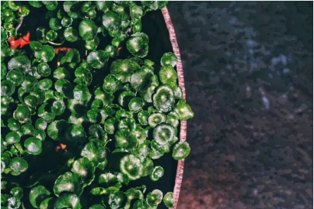 1533609587284913.png QQ圖片20180807100614.png