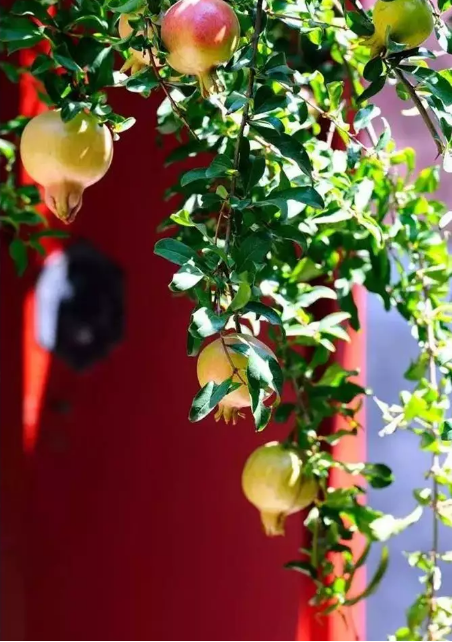 1537323188130833.png QQ圖片20180919094759.png