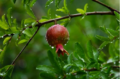 1537323227972389.png QQ圖片20180919095042.png