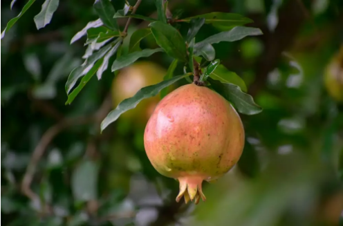 1537323257652017.png QQ圖片20180919095118.png