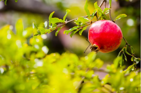 1537323287570128.png QQ圖片20180919095156.png