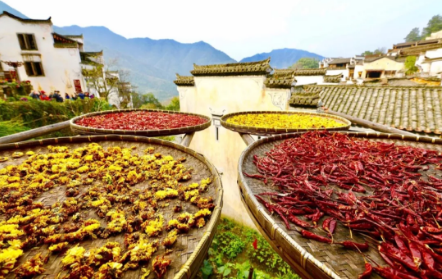 1540172046121435.png QQ圖片20181022092034.png