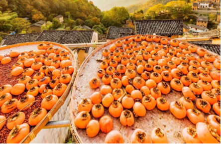 1540172054443313.png QQ圖片20181022092052.png