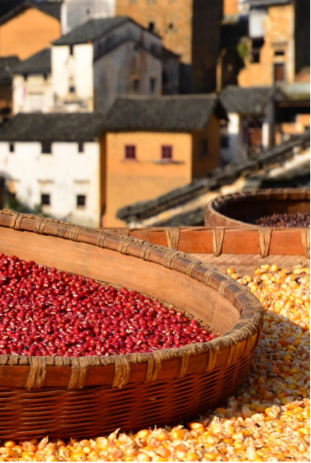 1540172062110075.png QQ圖片20181022092110.png