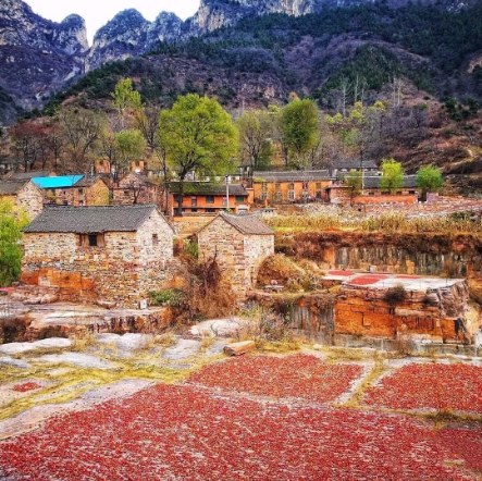 1540172114110819.png QQ圖片20181022092209.png