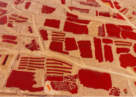 1540172134366028.png QQ圖片20181022092253.png