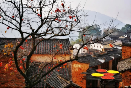 1540172174300533.png QQ圖片20181022092312.png