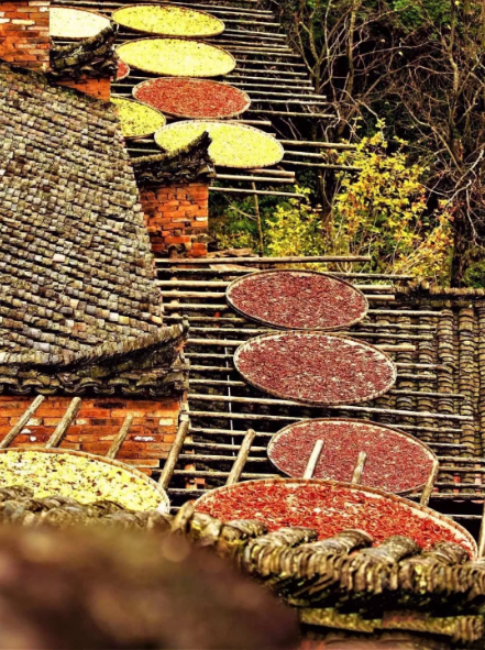 1540172198325750.png QQ圖片20181022092411.png