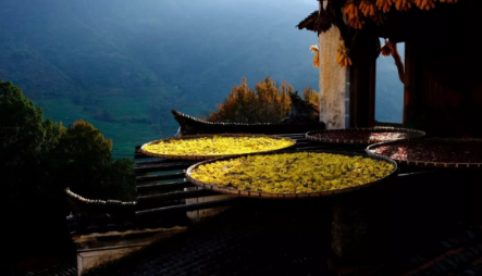 1540172233955305.png QQ圖片20181022092452.png