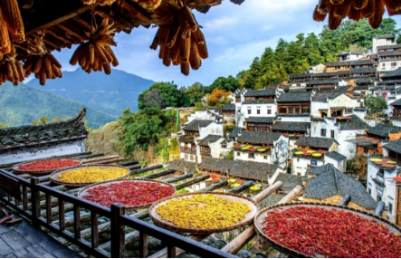 1540172245138304.png QQ圖片20181022092507.png