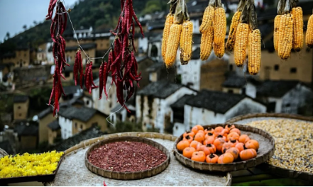 1540172294112880.png QQ圖片20181022092601.png