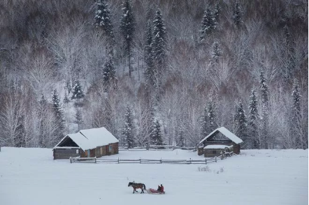 1545359716140455.png QQ圖片20181221100953.png