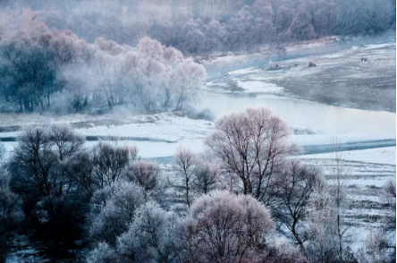 1545359743773367.png QQ圖片20181221101031.png