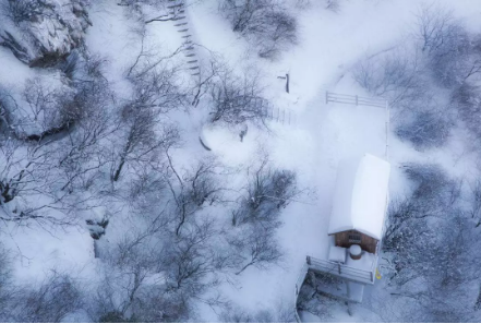 1545359751276608.png QQ圖片20181221101048.png