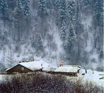 1545359896131780.png QQ圖片20181221101456.png