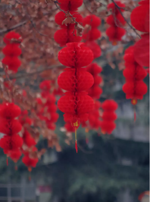 1548750831403853.png QQ圖片20190129162512.png