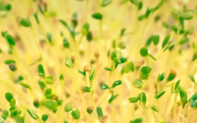 1550023719772205.png QQ圖片20190213094030.png