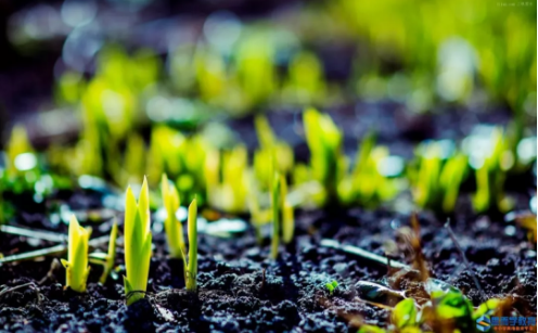 1550023727819712.png QQ圖片20190213094052.png