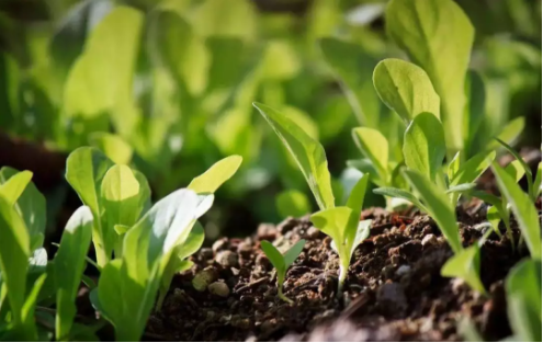 1550023782788901.png QQ圖片20190213094217.png