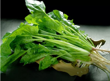 1550023817416977.png QQ圖片20190213094432.png