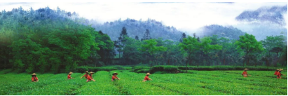 1552633899999240.png QQ圖片20190315145020.png